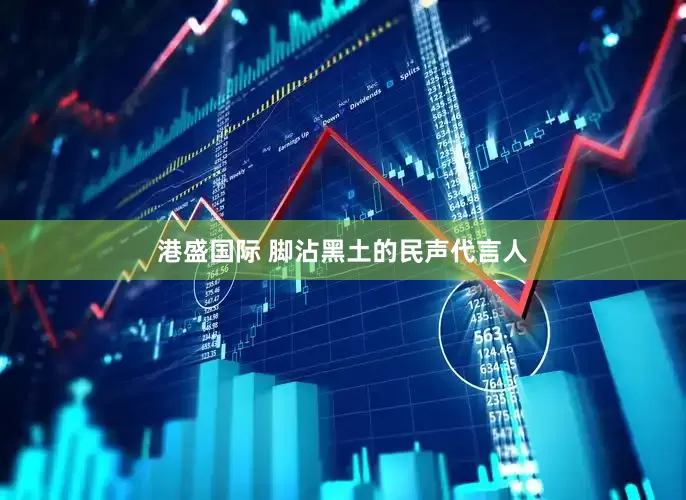 港盛国际 脚沾黑土的民声代言人