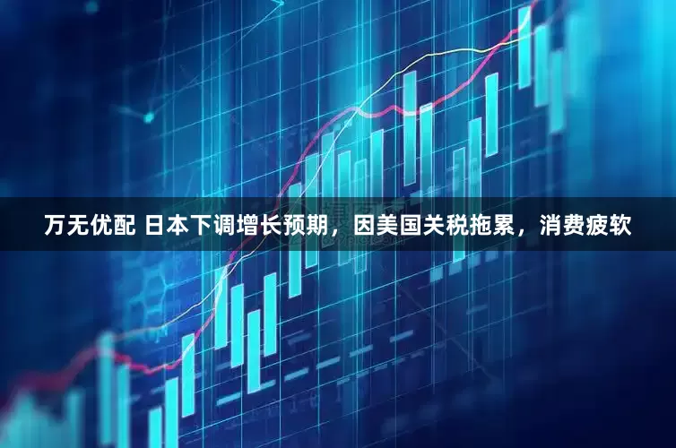 万无优配 日本下调增长预期，因美国关税拖累，消费疲软