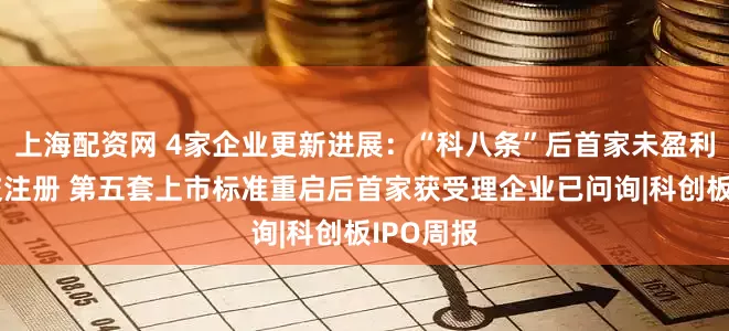 上海配资网 4家企业更新进展：“科八条”后首家未盈利企业提交注册 第五套上市标准重启后首家获受理企业已问询|科创板IPO周报