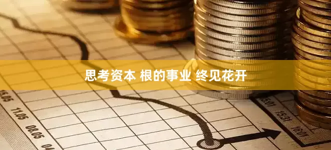 思考资本 根的事业 终见花开