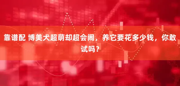 靠谱配 博美犬超萌却超会闹，养它要花多少钱，你敢试吗？